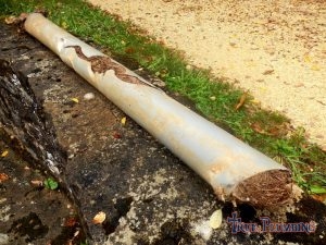 A Clogged Sewer Line