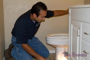 A Plumber Tests a New Toilet.